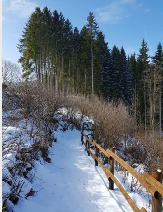Nationalpark Ferienhaus Sophia-Luisa Borfink Экстерьер фото
